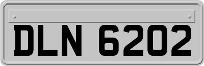 DLN6202