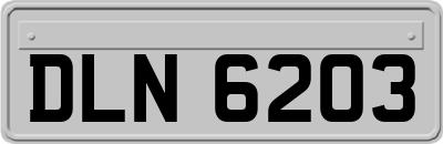 DLN6203