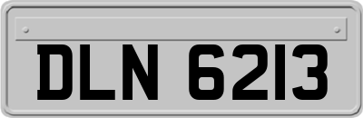 DLN6213