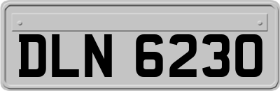 DLN6230