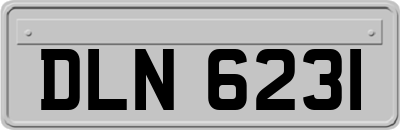 DLN6231