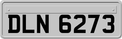 DLN6273