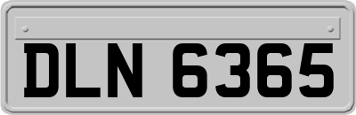 DLN6365