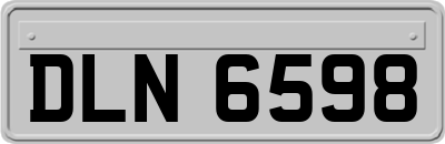 DLN6598