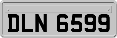 DLN6599