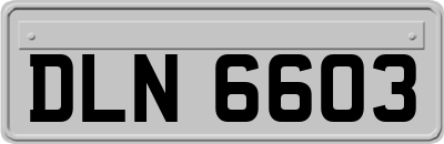 DLN6603