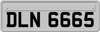DLN6665