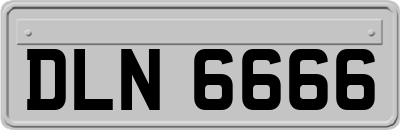 DLN6666