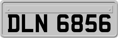 DLN6856