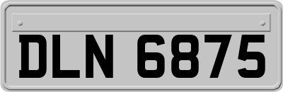 DLN6875