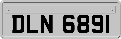 DLN6891