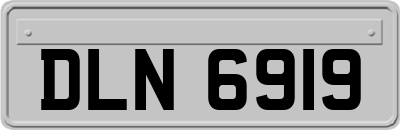 DLN6919