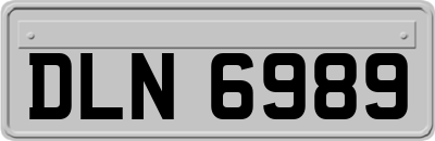 DLN6989