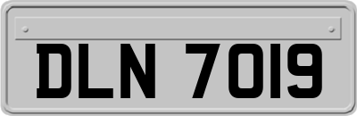DLN7019