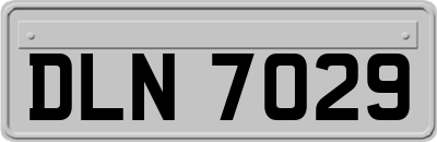 DLN7029
