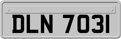 DLN7031