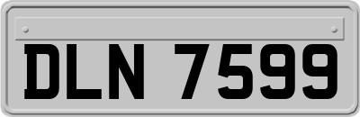DLN7599
