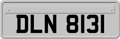 DLN8131