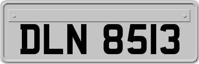 DLN8513