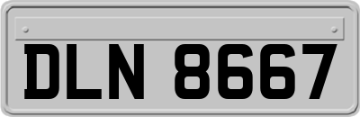 DLN8667