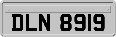 DLN8919