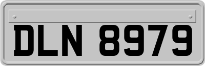 DLN8979