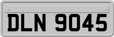 DLN9045