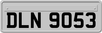 DLN9053