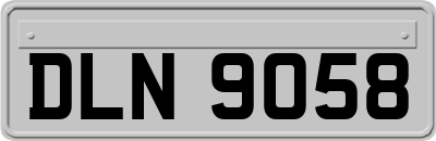 DLN9058