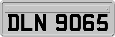 DLN9065
