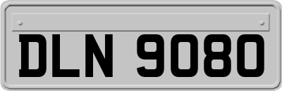 DLN9080