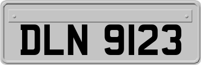 DLN9123