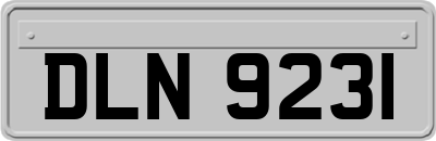 DLN9231