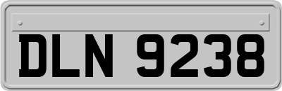 DLN9238
