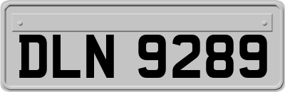 DLN9289