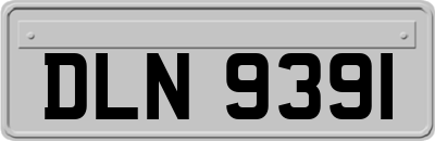 DLN9391