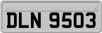 DLN9503