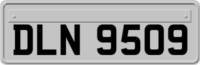 DLN9509