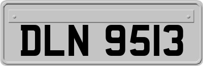 DLN9513
