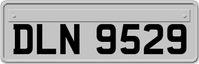DLN9529