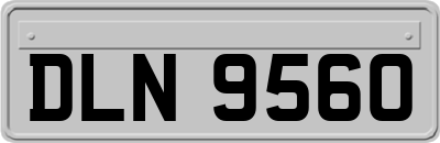DLN9560