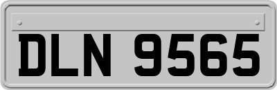 DLN9565