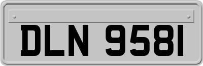 DLN9581