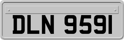 DLN9591