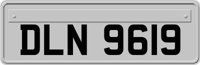 DLN9619