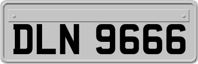 DLN9666