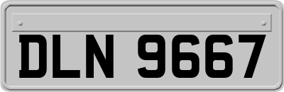 DLN9667