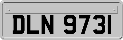 DLN9731