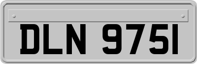DLN9751