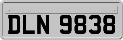 DLN9838